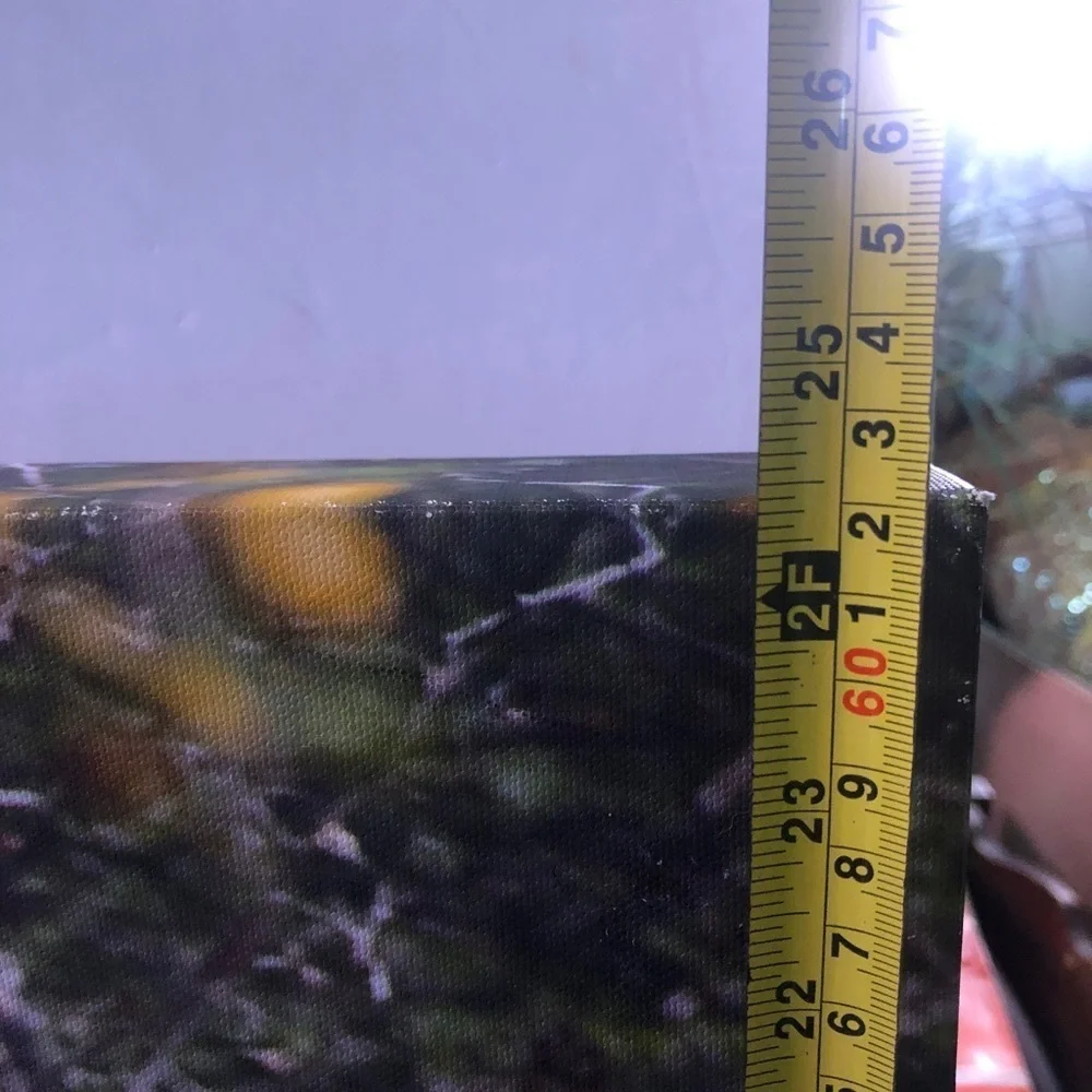 Lion On Canvas. 18” X24” - Picture 4 of 5